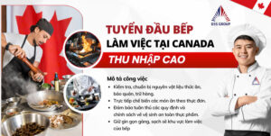 tuyển đầu bếp